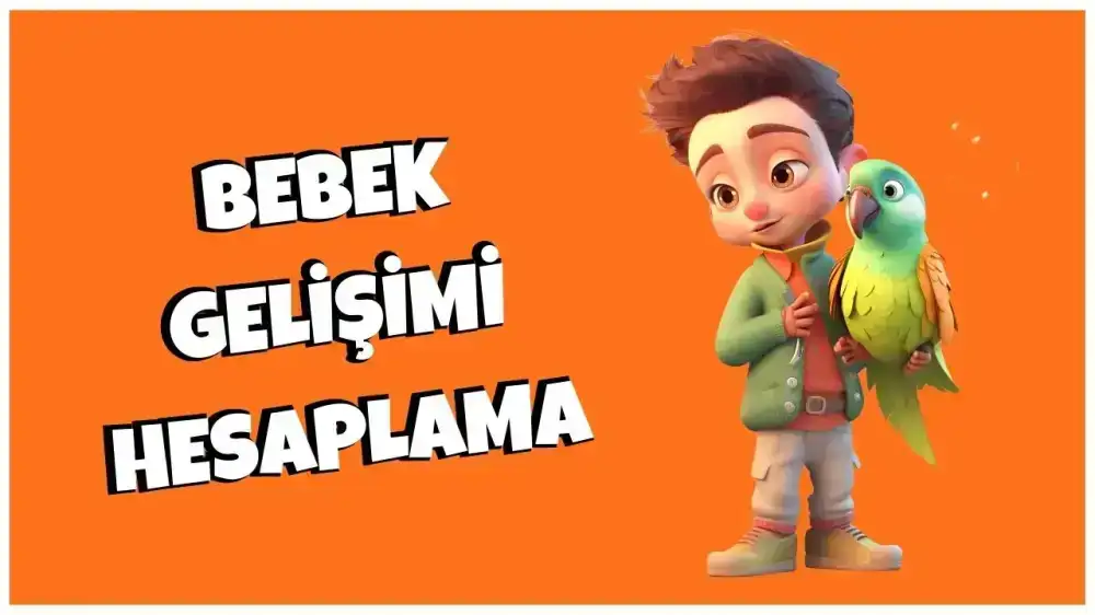 Bebek Gelişimi Hesaplama