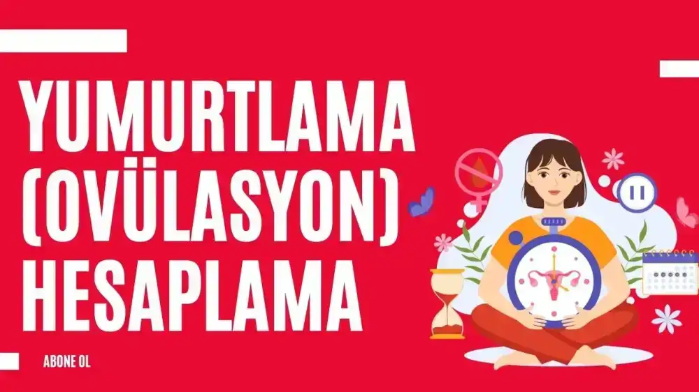 Yumurtlama (Ovülasyon) Hesaplama